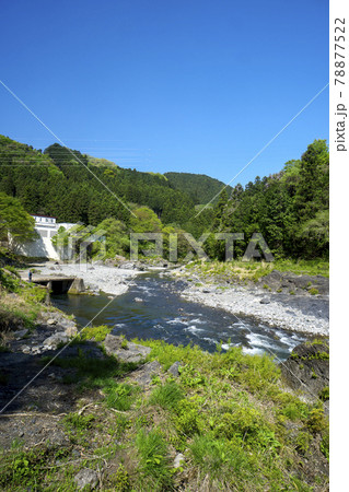 新緑の御岳渓谷 多摩川に架かる杣の小橋付近から上流側の河原と水力発電所など 新緑の御岳渓谷 多摩川に架かる杣の小橋付近から上流側の河原と水力発電所など 78877522