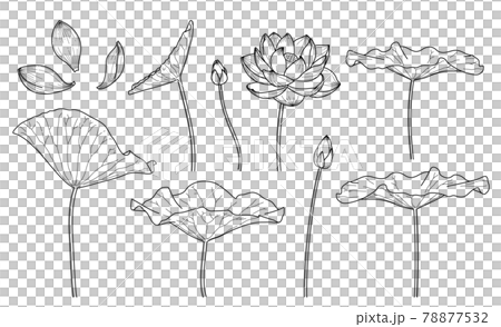 Lotus Flower - Living Sun Glass