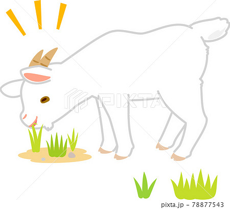 草を食べるヤギのイラスト素材