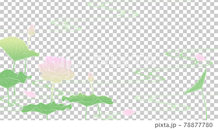流水に蓮の花の背景イラスト（淡彩） 78877780