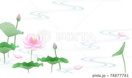流水に蓮の花の背景イラストのイラスト素材