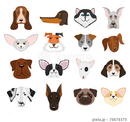 Dog And Puppy Heads Set Vector Illustrationのイラスト素材 7775