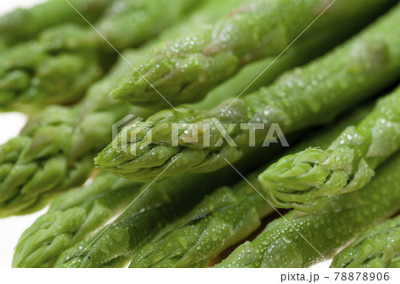 アスパラガス 78878906