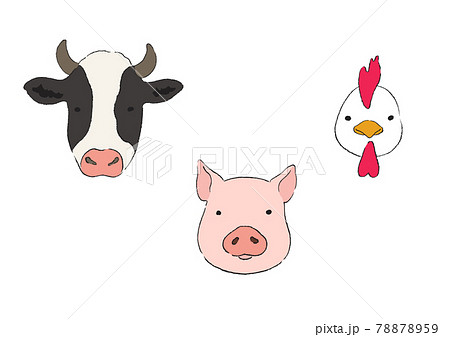 牛と豚と鶏の顔のイラストのイラスト素材 7759