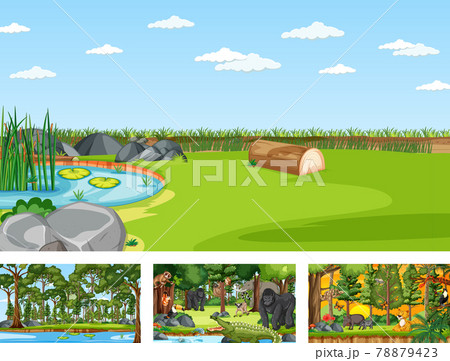 Set of different nature horizontal scene with various wild animals 78879423