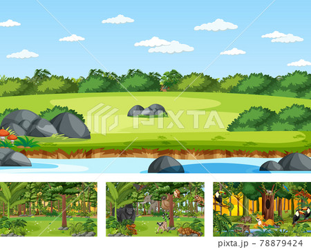 Set of different nature horizontal scene with various wild animals 78879424