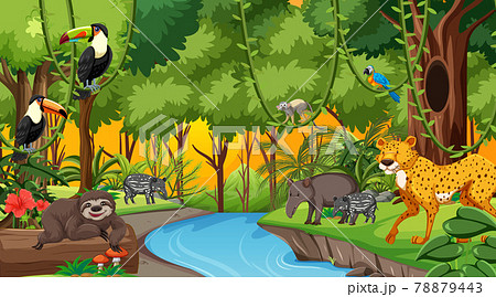 Forest at sunset time scene with different wild animals 78879443