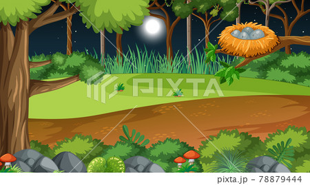 Nature forest at night scene with many trees Nature forest at night scene with many trees 78879444