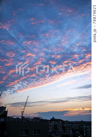夏至の日の夕方、夕日に照らされたうろこ雲 夏至の日の夕方、夕日に照らされたうろこ雲 78879625
