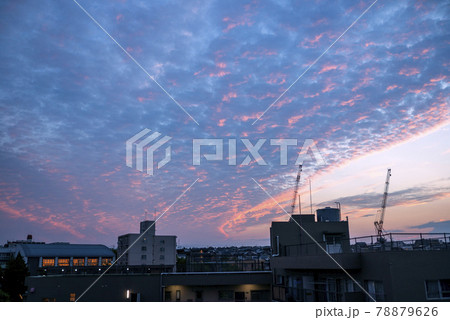夏至の日の夕方、夕日に照らされたうろこ雲 78879626