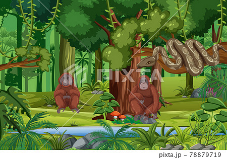 Wild animals with stream flowing through the forest scene 78879719
