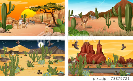 Different scenes with desert forest landscape with animals and plants 78879721