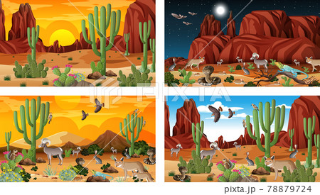 Different scenes with desert forest landscape with animals and plants 78879724
