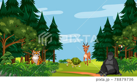 Forest scene with different wild animals Forest scene with different wild animals 78879736