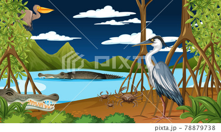 Animals live in mangrove forest at night scene Animals live in mangrove forest at night scene 78879738