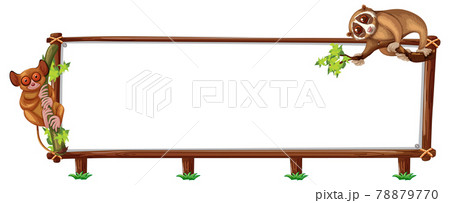 Empty banner with slow loris on white background Empty banner with slow loris on white background 78879770