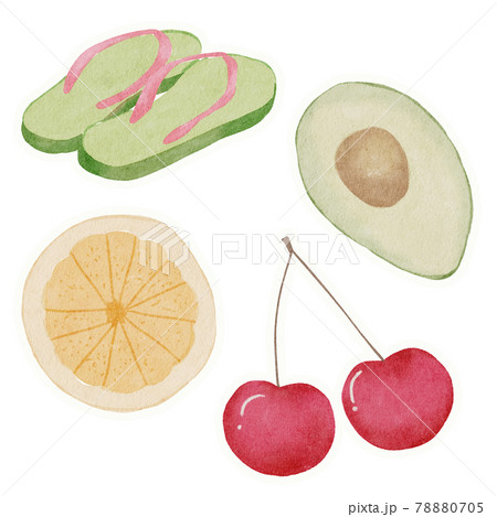 Summer  watercolor hand paint collection 78880705