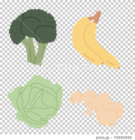 Vegetable hand paint collection 78880988