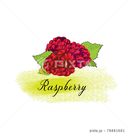 isolated image of a Raspberry isolated image of a Raspberry 78881681