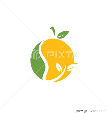 mango fruit vector illustration mango fruit vector illustration 78883367