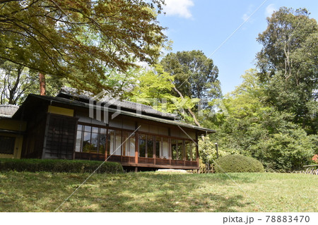 明治神宮御苑、東京渋谷区 78883470