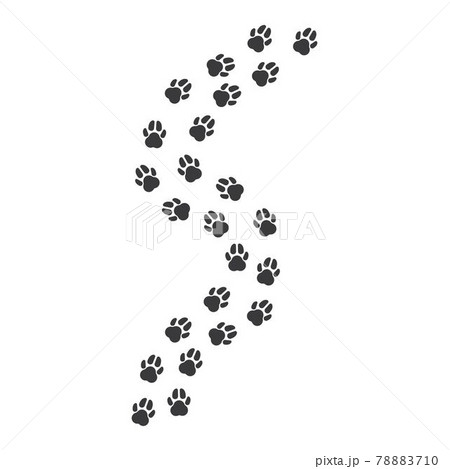 paw vector  icon of pet illustration design 78883710