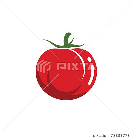 fresh tomato vector illustration design 78883773