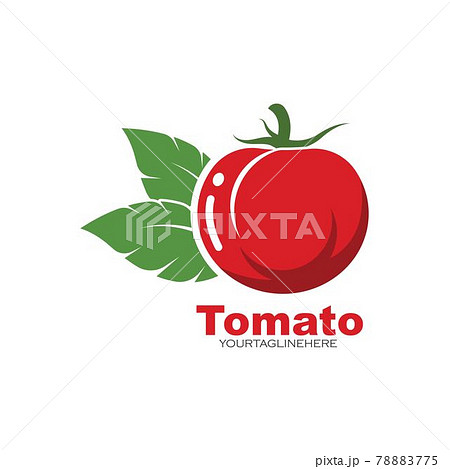 fresh tomato vector illustration design 78883775