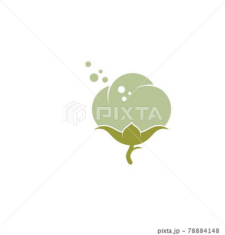 Cotton Vector Illustration Designのイラスト素材
