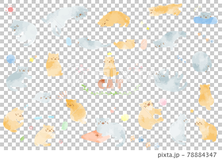 かわいい水彩の猫のイラストセット 78884347