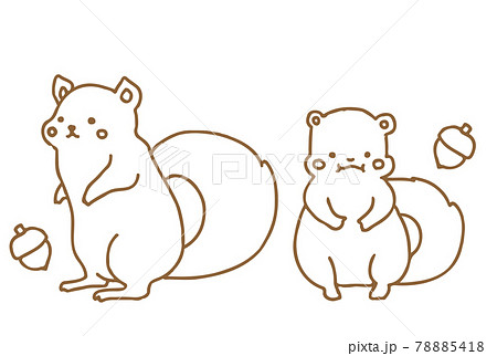 Cute Hand Drawn Squirrel Line Drawing Illustration Stock Illustration