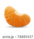Realistic vector mandarin slice. Close-up illustration of tangerine isolated on white background 78885437
