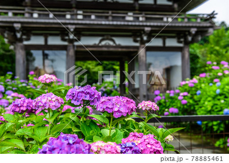 京都府・丹州観音寺 78885461