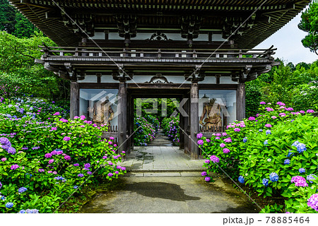 京都府・丹州観音寺 78885464