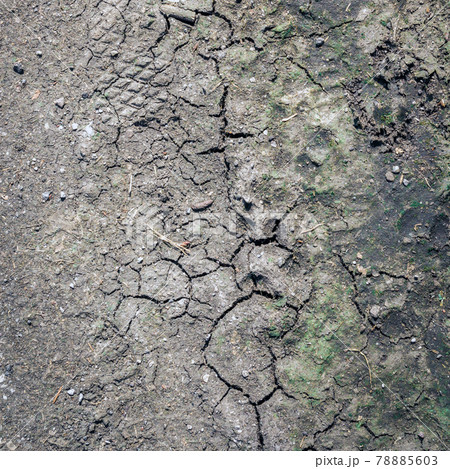 Crack soil on dry season 78885603