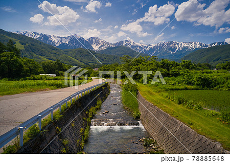 緑に包まれた大楢川の美しい流れと白馬三山の雄大な眺め　長野県白馬村（ドローンによる空撮） 78885648