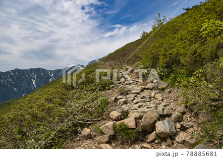 八方尾根自然研究路 登山道と雄大眺め 長野県白馬村 八方尾根自然研究路 登山道と雄大眺め 長野県白馬村 78885681
