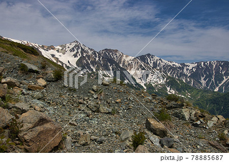 八方尾根自然研究路　白馬三山の雄姿　長野県白馬村 78885687
