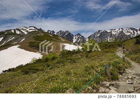 八方尾根自然研究路　登山道と唐松岳・不帰ノ嶮の雄大な眺め　長野県白馬村 78885693
