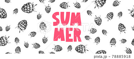 summer sale banner with fruits raspberry berries letter vector summer sale banner with fruits raspberry berries letter vector 78885918