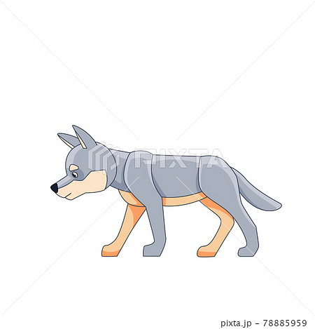 White cub wolf for a walk. Cartoon character of a dangerous mammal animal. A wild forest creature with gray fur. Side view. Vector flat illustration isolated on a white background 78885959