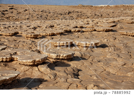 奇岩ソルトマッシュルームが並ぶダナキル砂漠ダロールの景色 奇岩ソルトマッシュルームが並ぶダナキル砂漠ダロールの景色 78885992