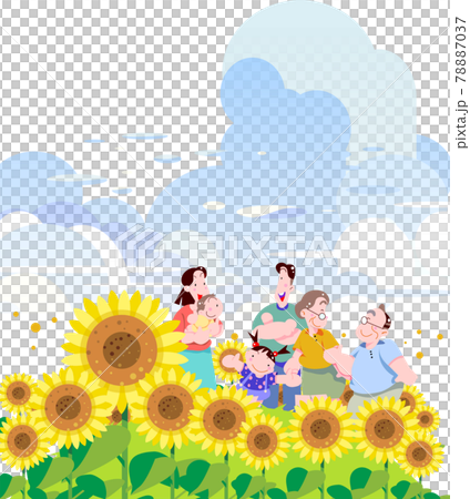 Sunflower and Natsuzora family 78887037