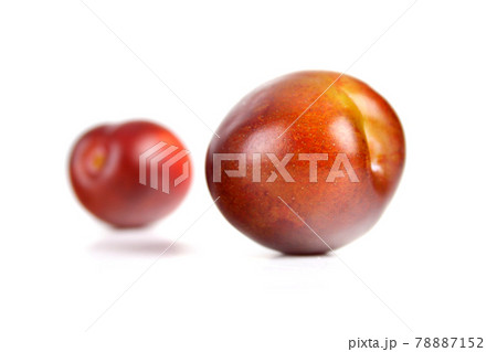 Plums 78887152