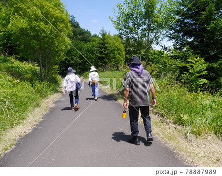 自然豊かな公園を散策するシニア(後ろ姿) 自然豊かな公園を散策するシニア(後ろ姿) 78887989