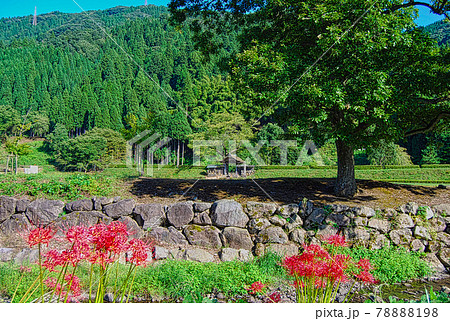 朝倉氏遺跡 78888198