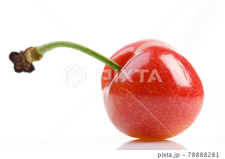 Still life photography 78888281