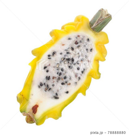 イエローピタヤの断面 78888880