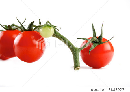 Tomato 78889274