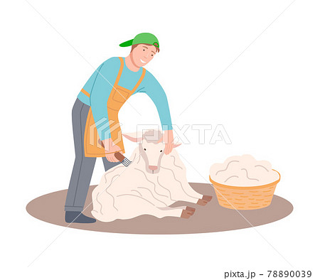 Happy Male Farmer Shearing Sheep and Gathering Wool in Wicker Basket Vector Illustration Happy Male Farmer Shearing Sheep and Gathering Wool in Wicker Basket Vector Illustration 78890039